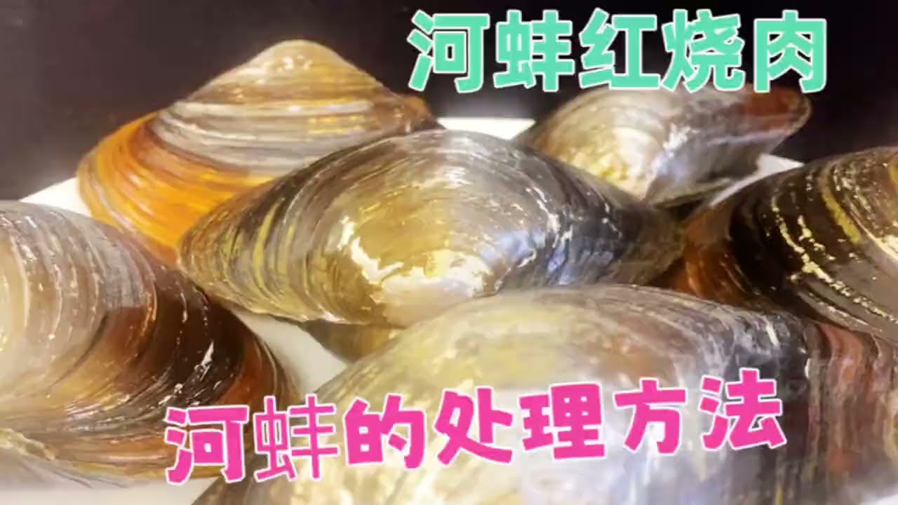 河蚌总是嚼不动？扯淡！大厨分享河蚌红烧肉的详细做法，太香了【覃厨说美食】