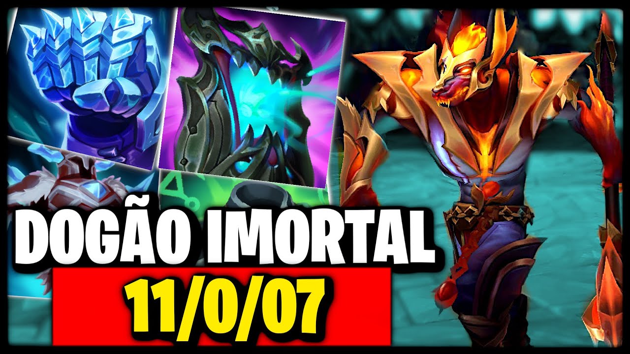 A BUILD DEIXOU O DOG LITERALMENTE 