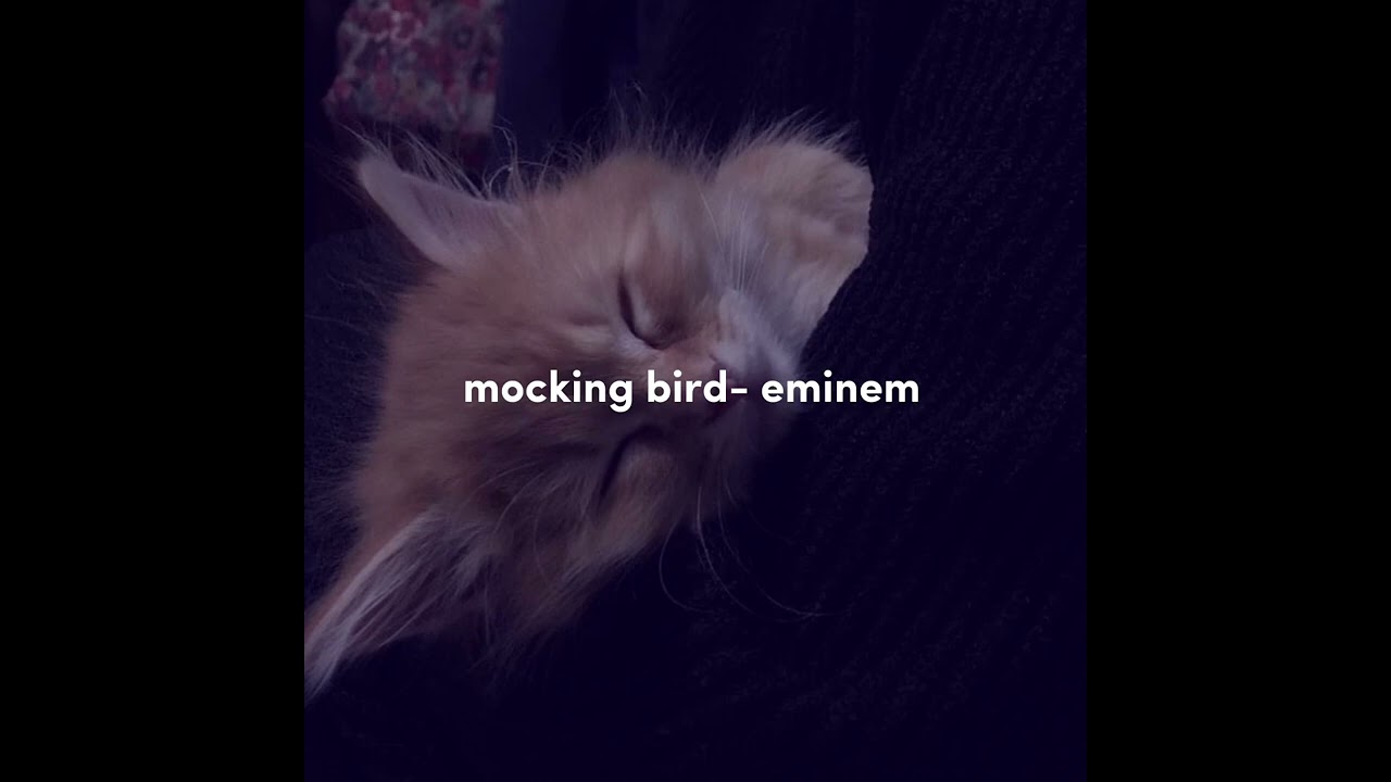 mockingbird- eminem (sped up)