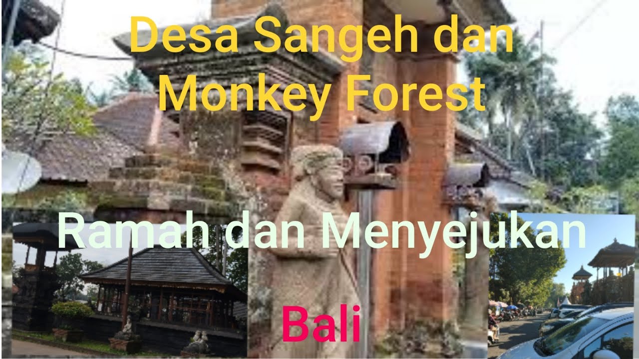 Baru..!! Spesial Jelajah Desa Sangeh dan Alas Pala Monkay Forest Sangeh | Badung | Bali. Part.86