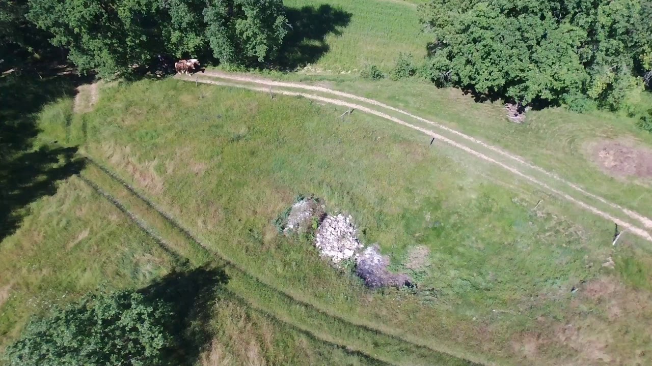 Randonnée en attelage à chevaux .