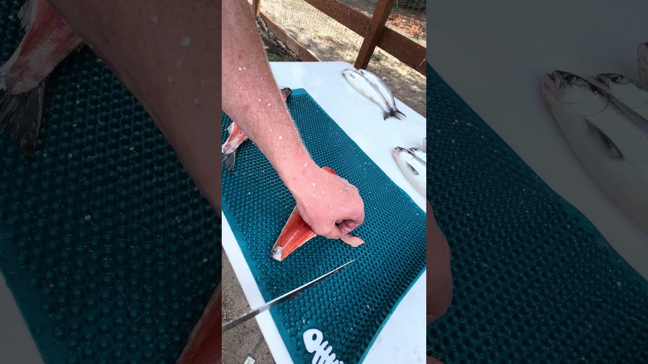How to scale & fillet a Kokanee quick and easy