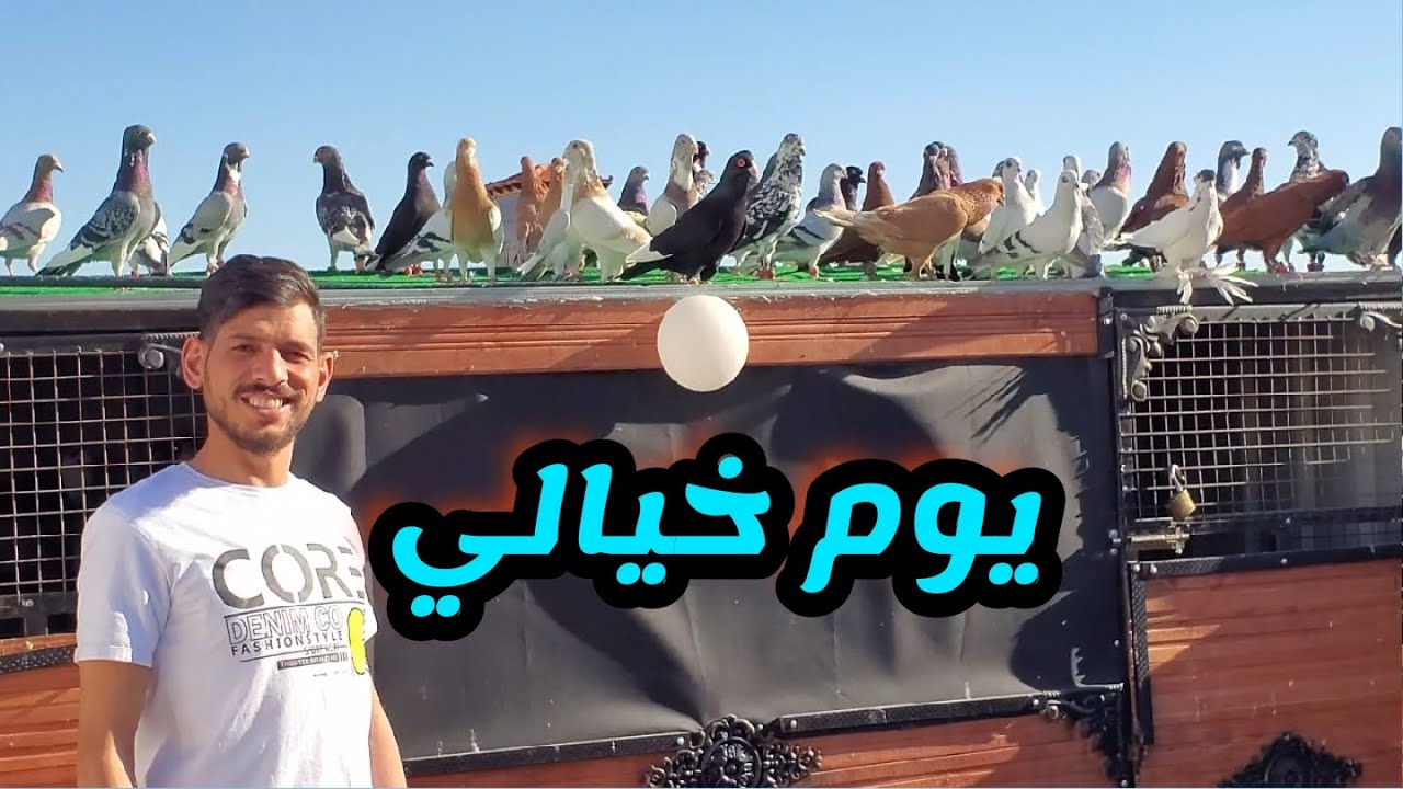 يوم خيالي لحمام الكش اليوم ابو سوار وابو شهم