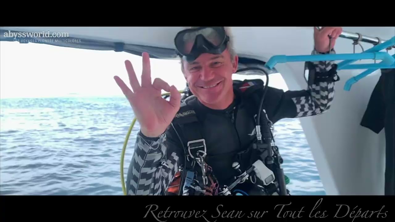 Aux Maldives OCEAN DIVINE***** avec Sean - Exclusif Abyssworld