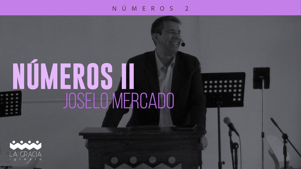 NUMEROS II   JOSELO MERCADO