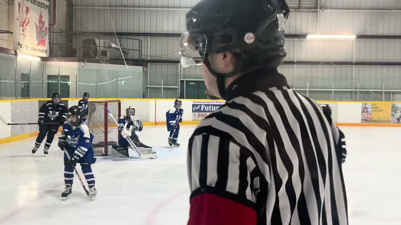 February 1 vs Kings period 2