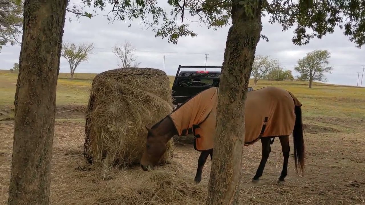 How I put a round bale, slow feeder, net on by myself.