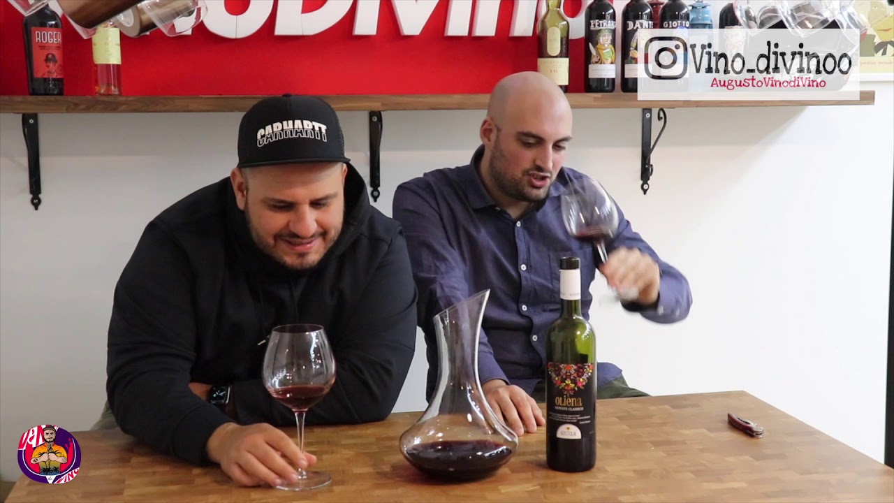 🎥Video degustazione flash ⚡️il Cannonau di Sardegna di Cantine Gostolai