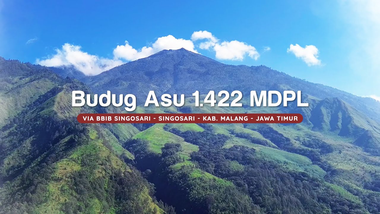 PENDAKIAN TEKTOK BUDUG ASU 1422 MDPL - WAJIB DICOBA PENDAKI PEMULA!