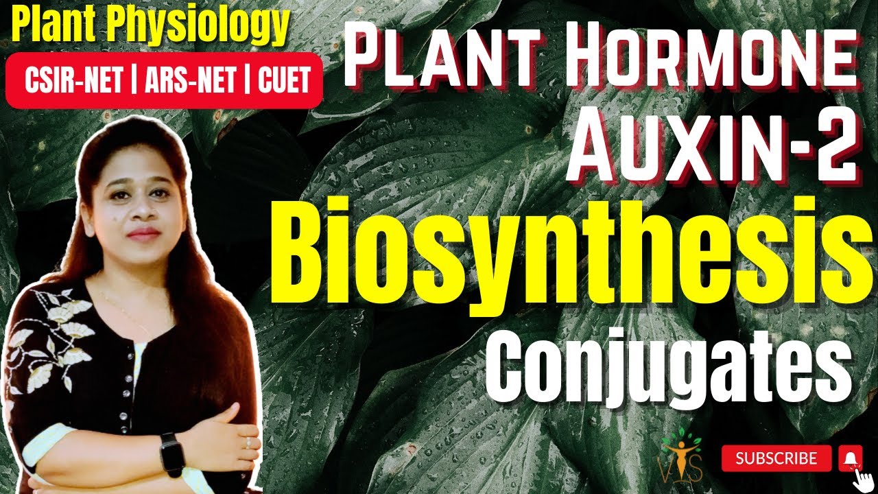 Plant Hormone Auxin (Part -2) | Biosynthesis of Auxin | Conjugates | Phytohormones | CSIR-NET