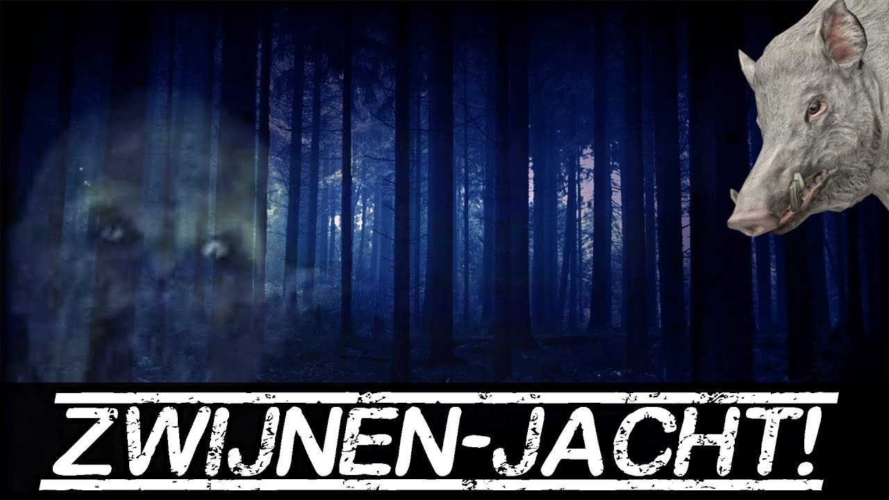 OVERNACHTEN IN SPOOKBOS! WILDE ZWIJNEN! (Vaeltax)