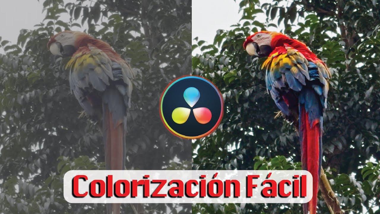 C&oacute;mo colorizar tus videos f&aacute;cilmente de manera profesional┃Tutorial DaVinci Resolve