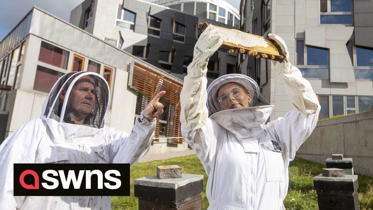 Meet the 18-year-old Beekeeper who looks after million bees on top of Scottish Parliament | SWNS