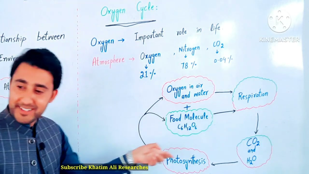 Ecology | Oxygen cycle | Class 8 Science | in Pashto | Lec#1 | @khatimaliresearches