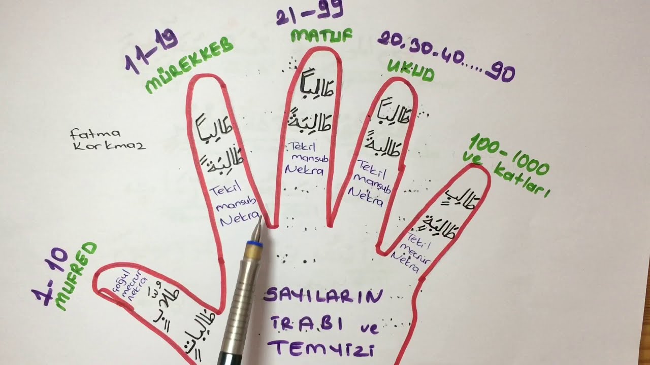 ARAPÇA GİRİŞ 15 /SAYILARIN ÎRABI VE TEMYÎZİ /CAMİİ KEBİR KURAN KURSU/ FATMA KORKMAZ
