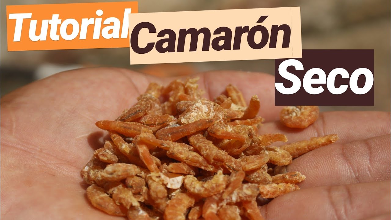 TUTORIAL  Camarón seco