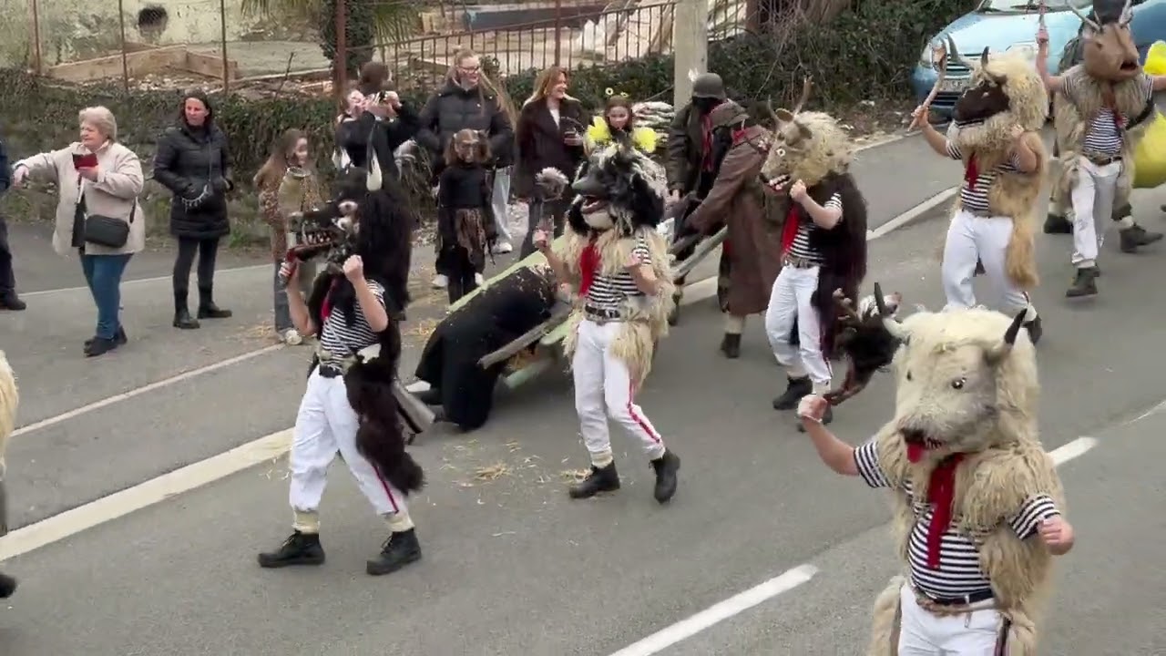 HALUBAJSKI ZVONČARI 2026