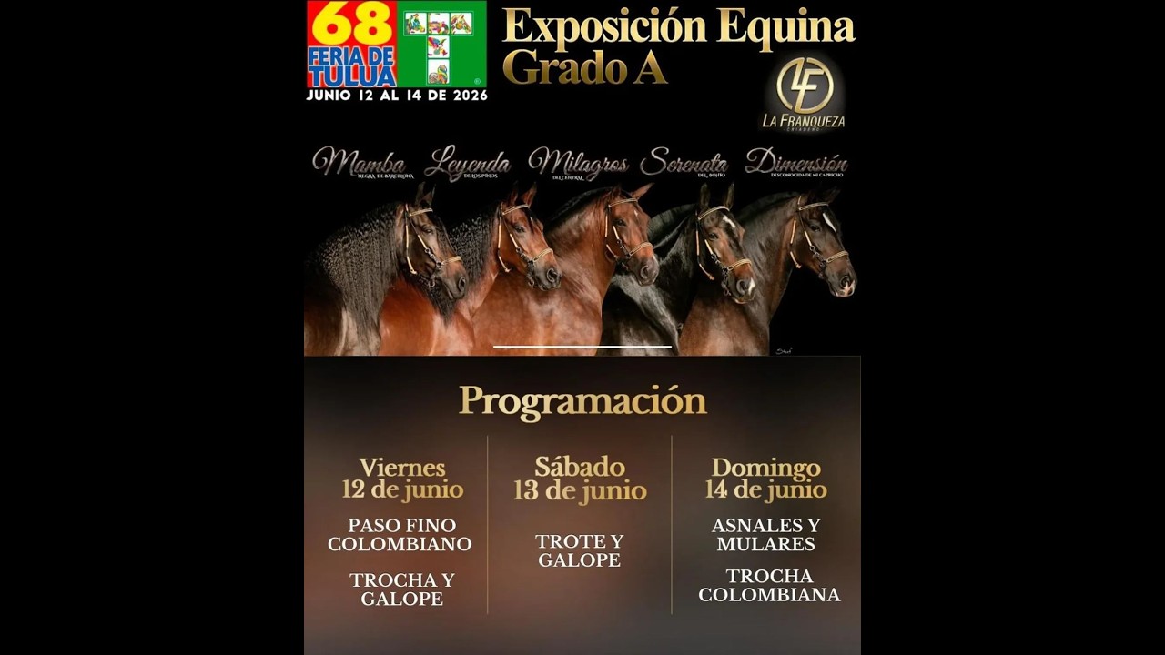 EXPOSICION EQUINA GRADO 