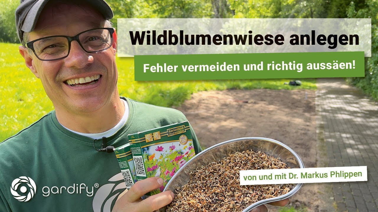 Wildblumenwiese anlegen - Fehler vermeiden und richtig aussäen!