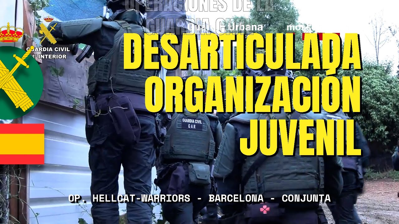 Desarticulada en Barcelona una organización criminal juvenil , multidelictiva y violenta.