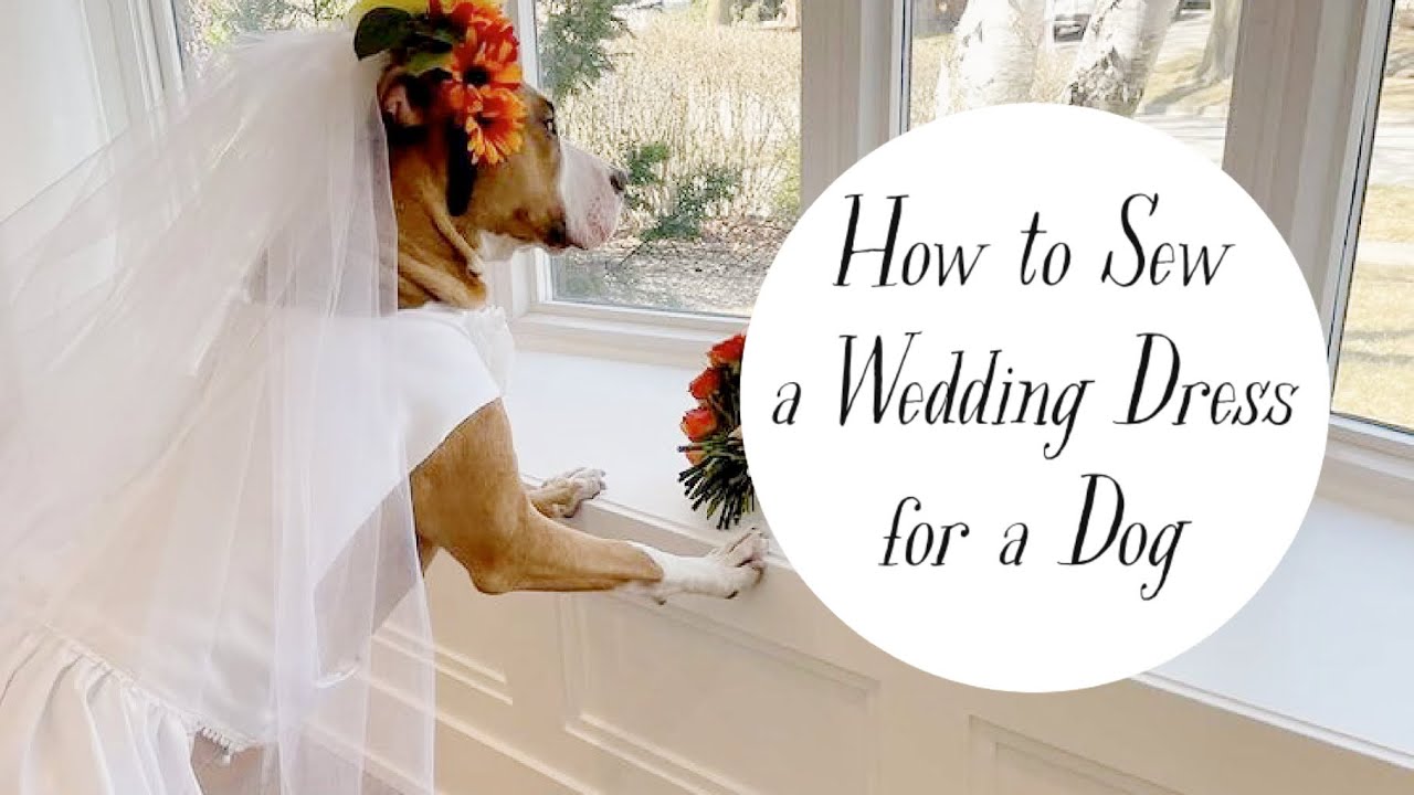 How to Sew a Wedding Dress for a Dog