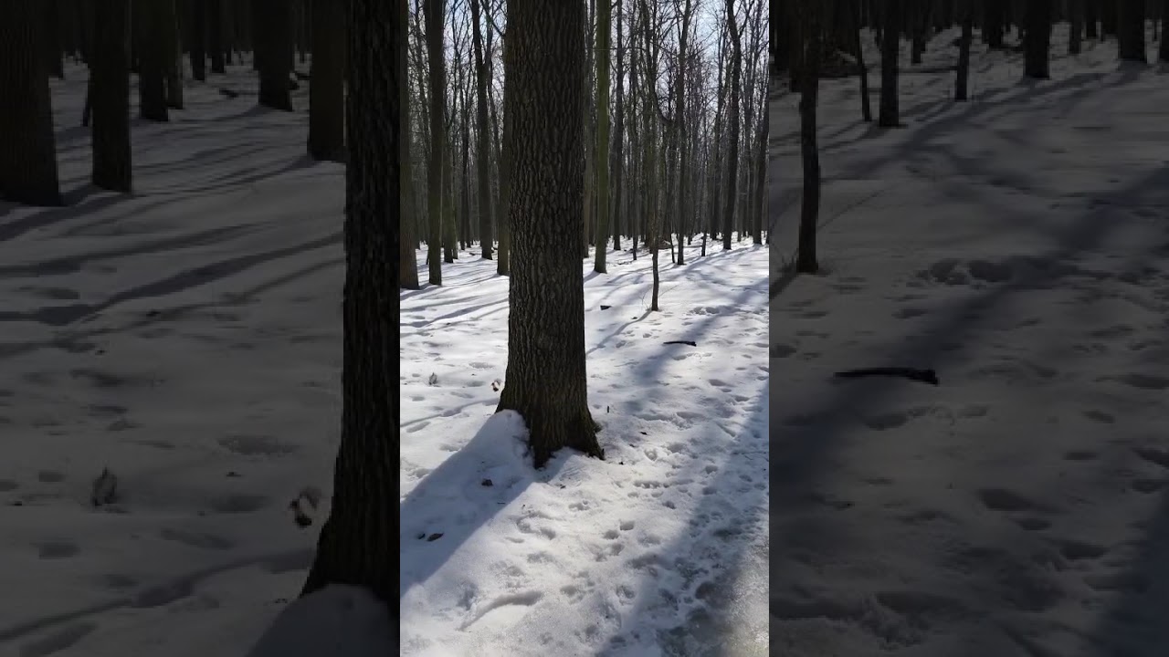 Важно сохранить свою психику здоровой. Есть только 2 пола. Невминяемые эзотерики.