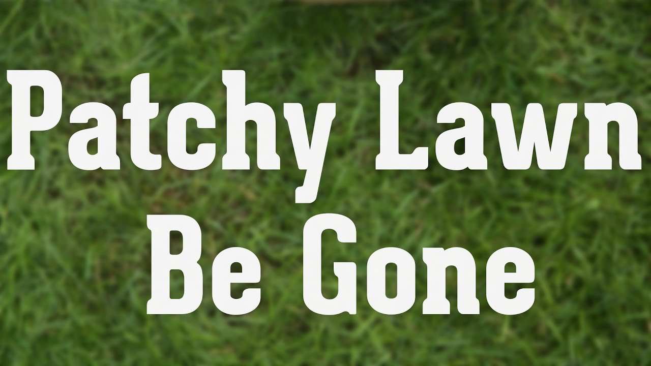 Discover How to Fix a Patchy Lawn | Scotts Miracle-Gro Canada