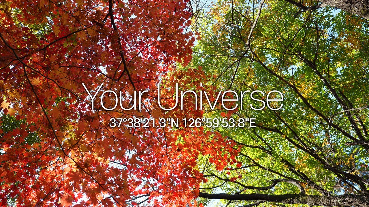 Autumn leaves from Bukhansan Mountain in South Korea are colored brilliantly