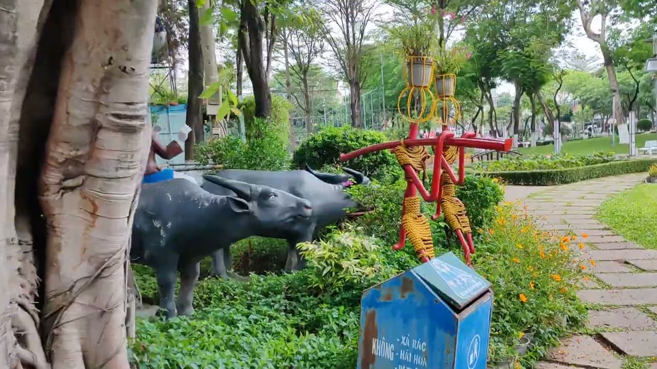 Buổi trưa đi dạo giữa rừng cây cỏ xanh vắng
