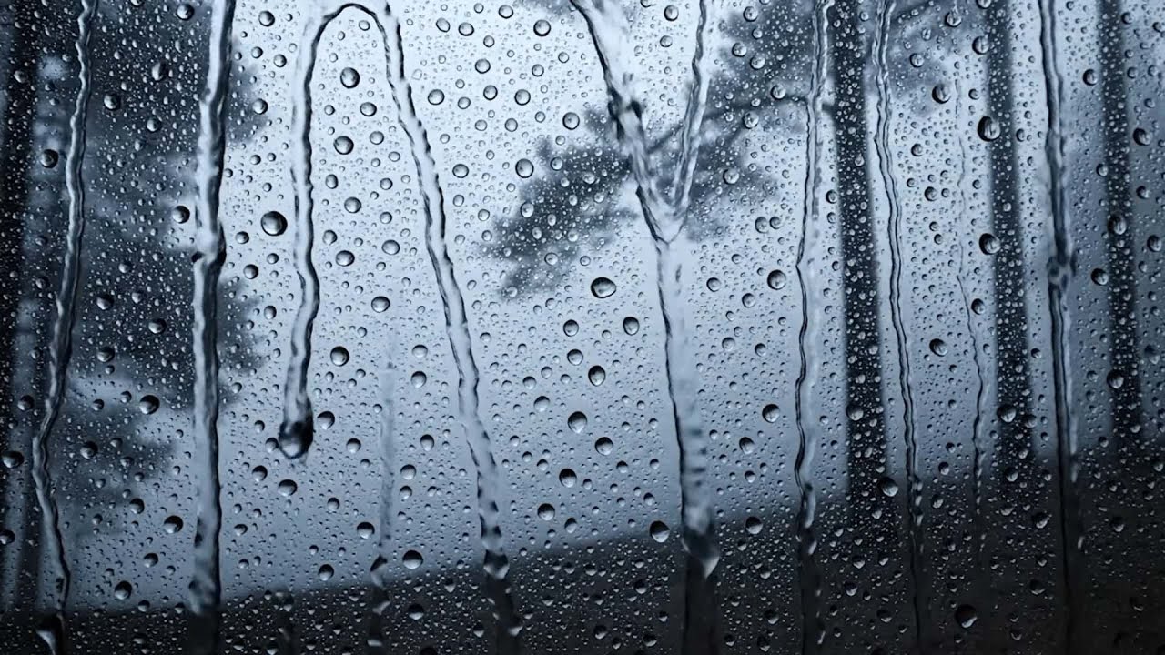 Легкий послеполуденный дождь за окном 🌧️ Расслабьте разум и тело 🚫 Не слушайте музыку за рулем
