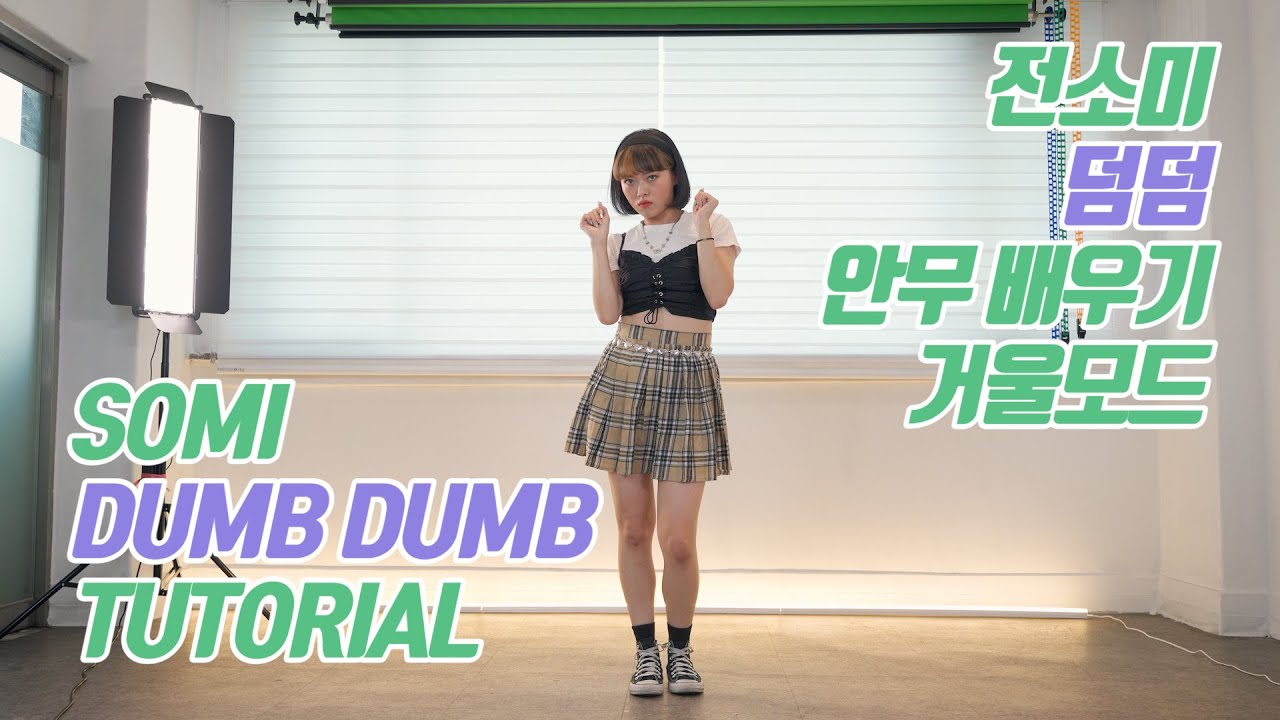 [TUTORIAL] SOMI (전소미) - DUMB DUMB (덤덤) 커버댄스 안무 배우기 거울모드 (Mirrored)