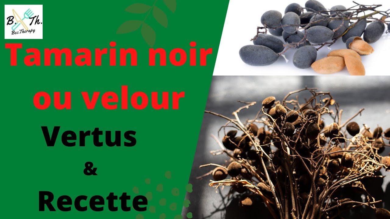 TAMARIN VELOUR / NOIR : VERTUS ET RECETTES - Bectherapy
