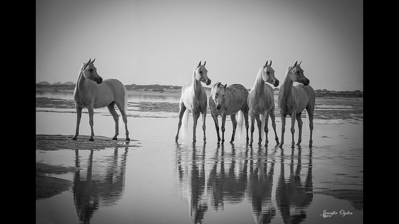 Black and White Photography