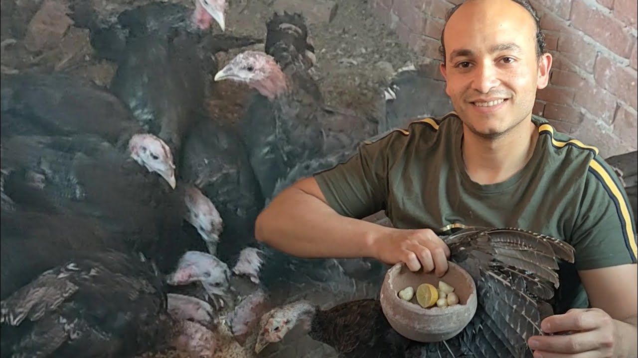 وداعاً للجدرى مع الحل النهائي والسريع لعلاج الجدرى وتورم الوجه عند الرومى#مصطفى_وأمل