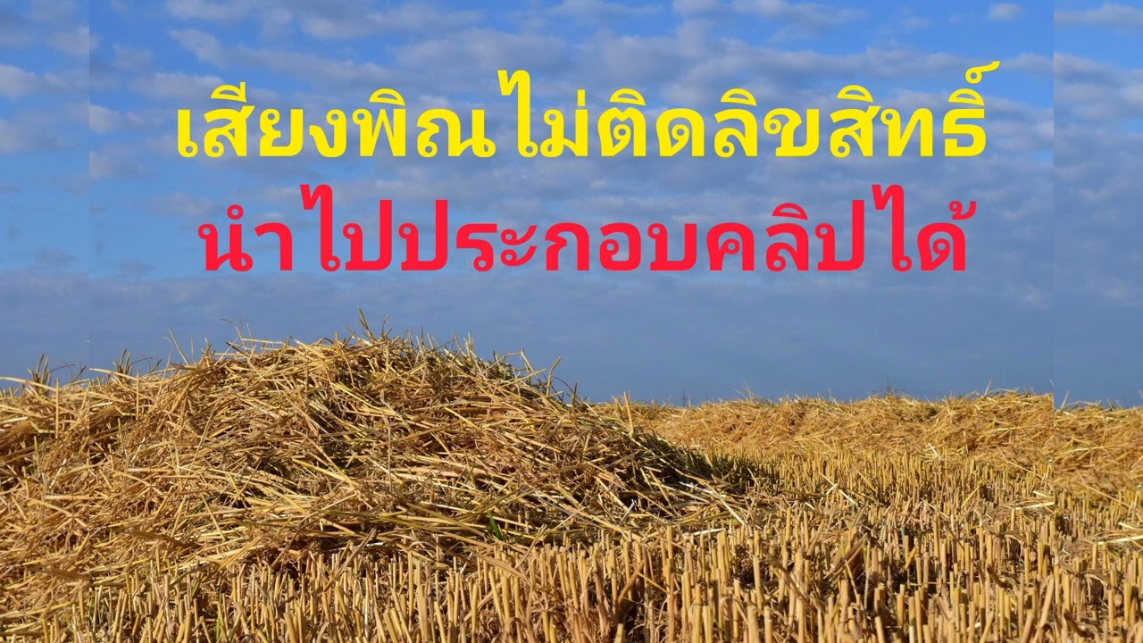 เสียงพิณแจกฟรีไม่ติดลิขสิทธิ์ นำไปประกอบคลิป