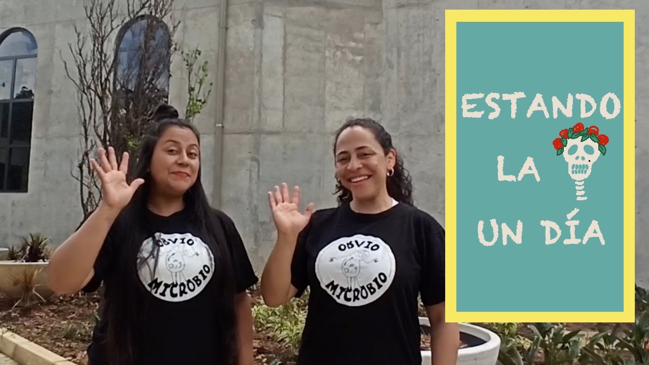 Cómo jugar un #juego de palmas tradicional. ✋🏽 😊 ✋🏽
