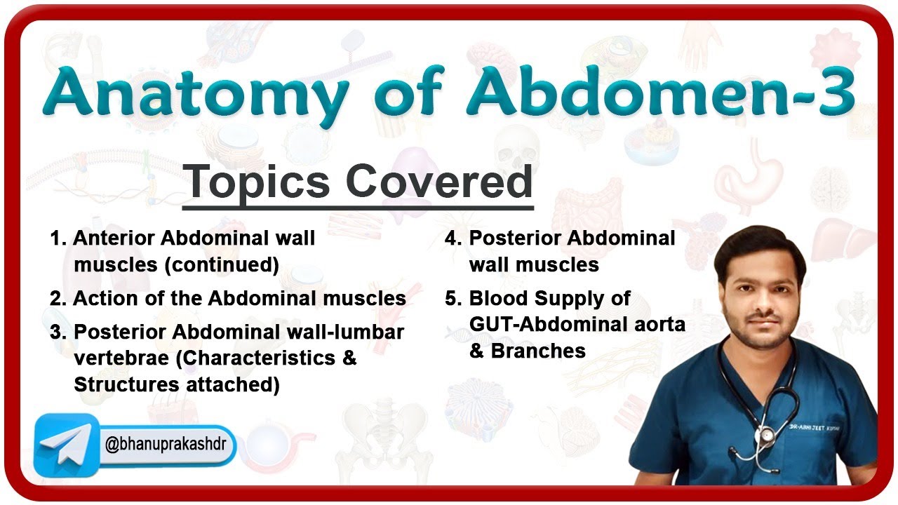 🕵️‍♂️ Anatomy Of Abdomen (Part - 3) : Anterior and Posterior abdominal wall, Abdominal aorta 🌟💡