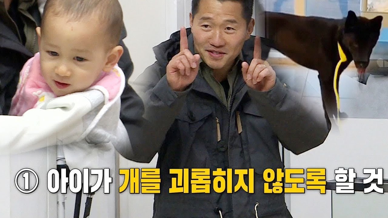 [꿀팁] 강형욱에게 배우는 ‘아이와 대형견 함께 키우는 방법’ @집사부일체 62회 20190324