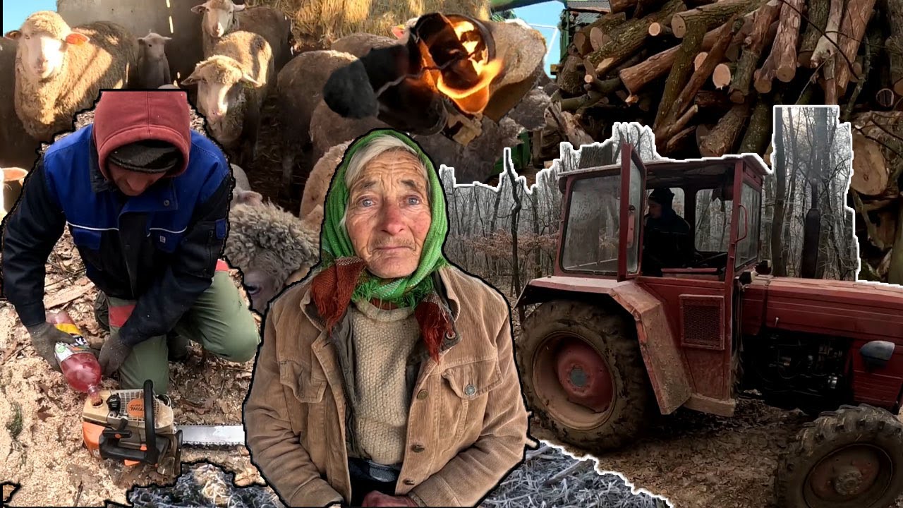 NAPI VLOG: Voltunk Az Erdőn Fáért / DT445+JOHN DEERE 3350