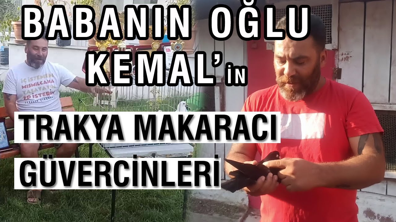 Baba'nın Oğlu Kemal'in Trakya Makaracı Güvercinleri