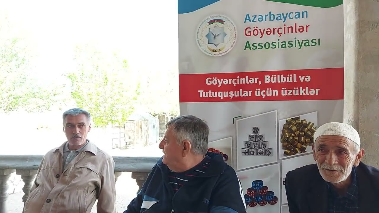 #Məhşur #göyərçin #yetişdiricisi: #Saşa Buzovna / RAMAZAN BAYRAMINIZ XEYİRLİ OLSUN! 2023 il