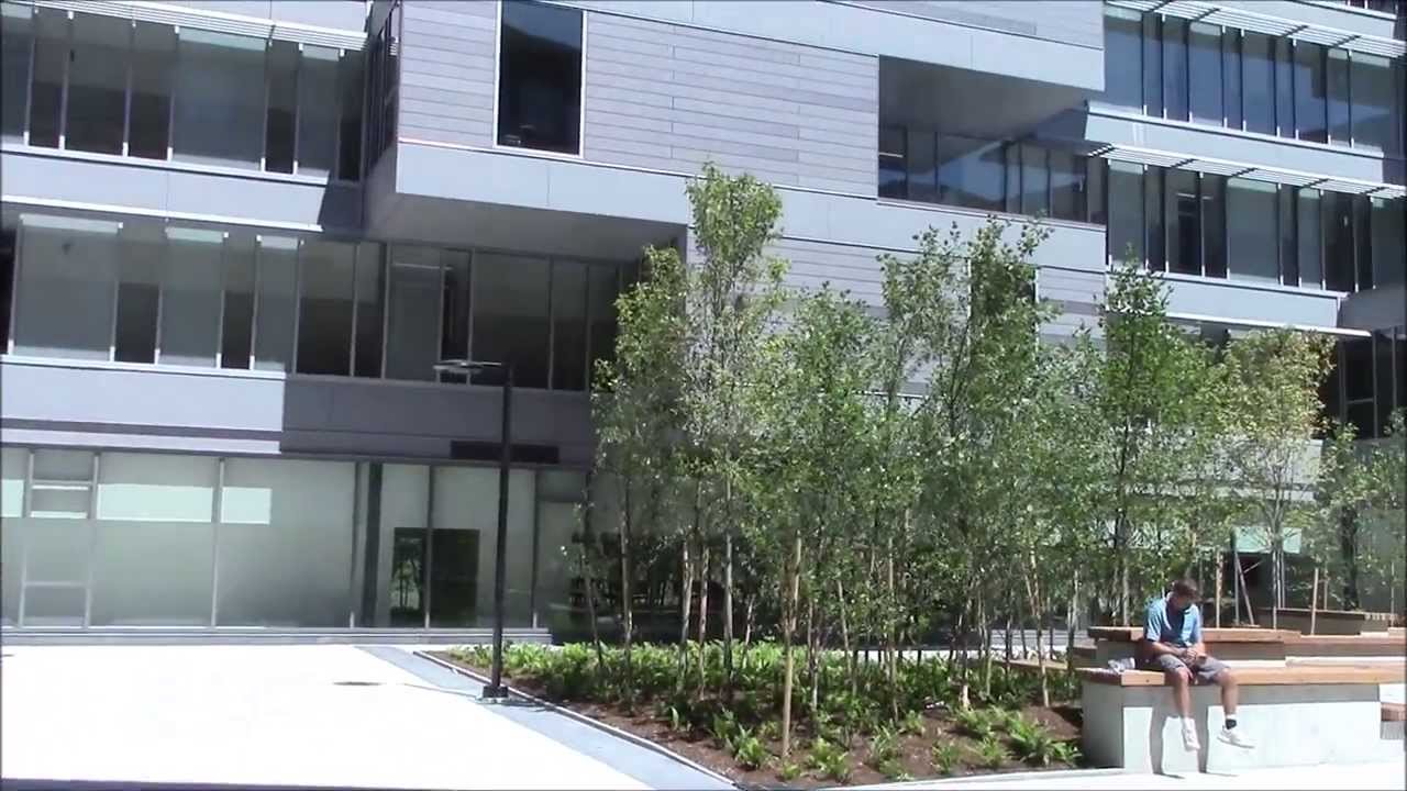 Weygand Hall Tour