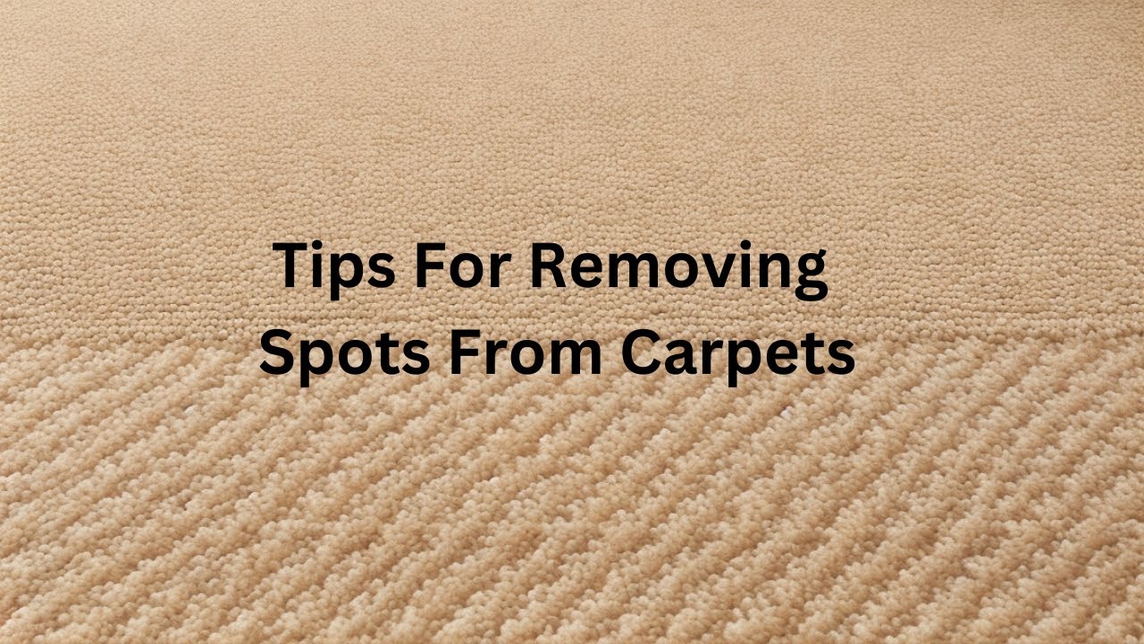 Ultimate Carpet Spot Removal Guide: Expert Tips and Tricks