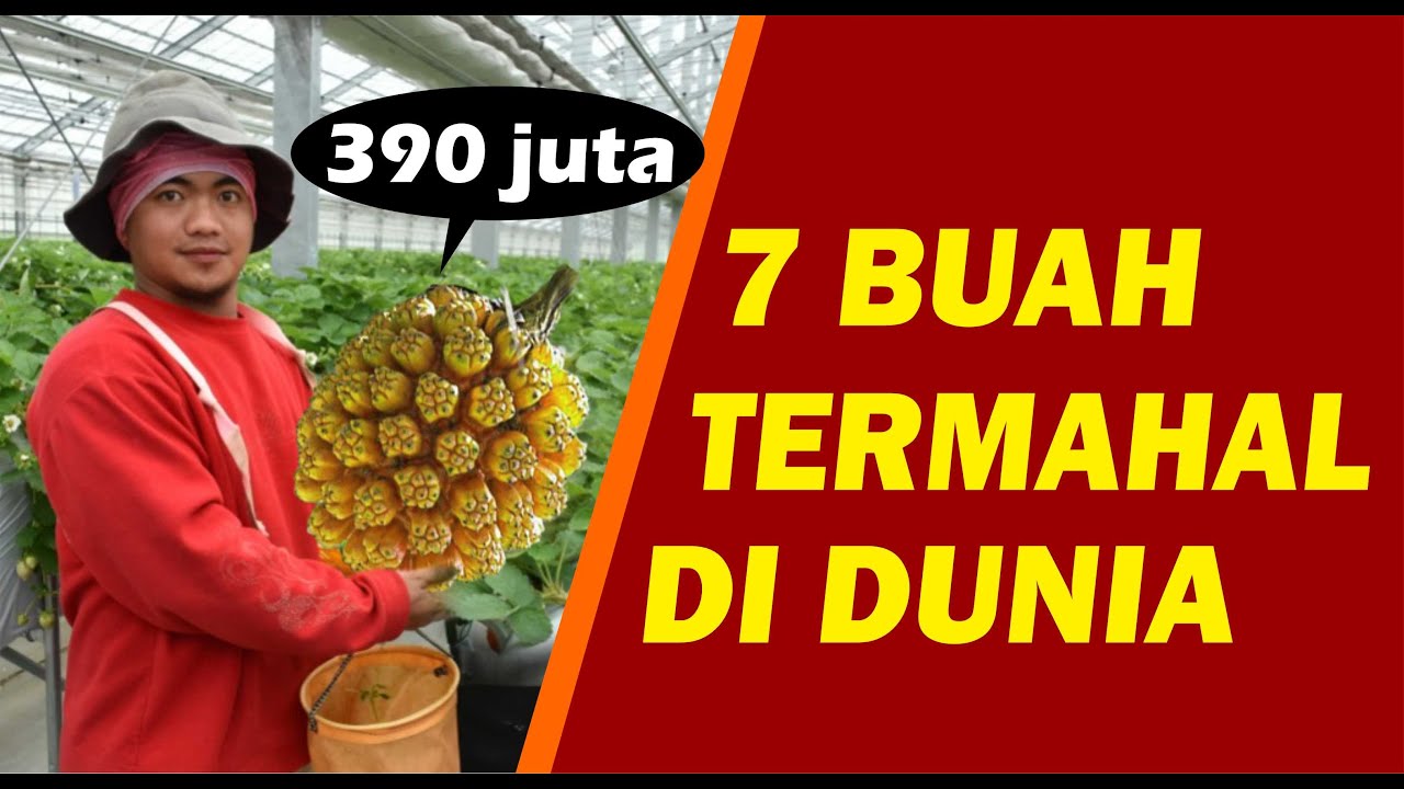 7 BUAH TERMAHAL DI DUNIA, ADA YANG MENCAPAI HARGA 390 JUTA