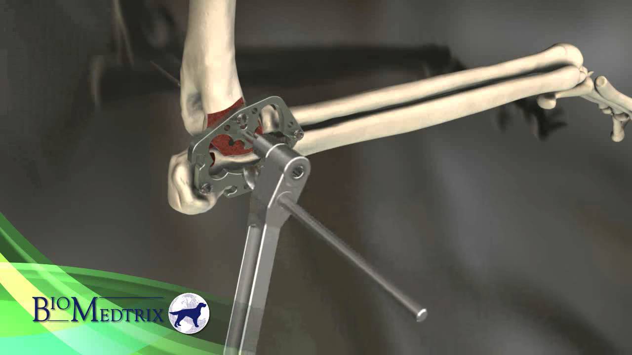 Canine Total Elbow Replacement with the BioMedtrix TATE Elbow&trade;