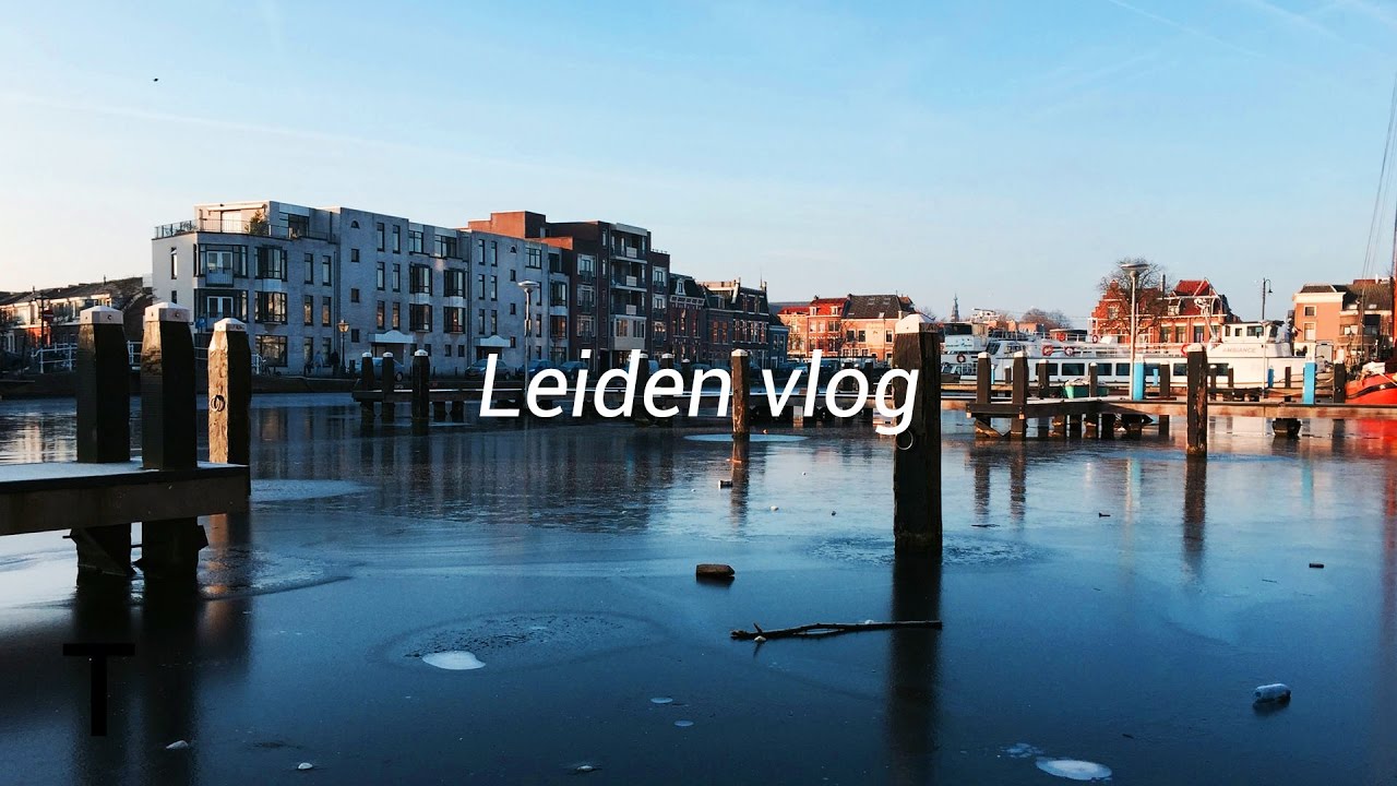 LEIDEN VLOG | 🇳🇱 Netherlands part 2 🇳🇱 | Travel |faabyy21