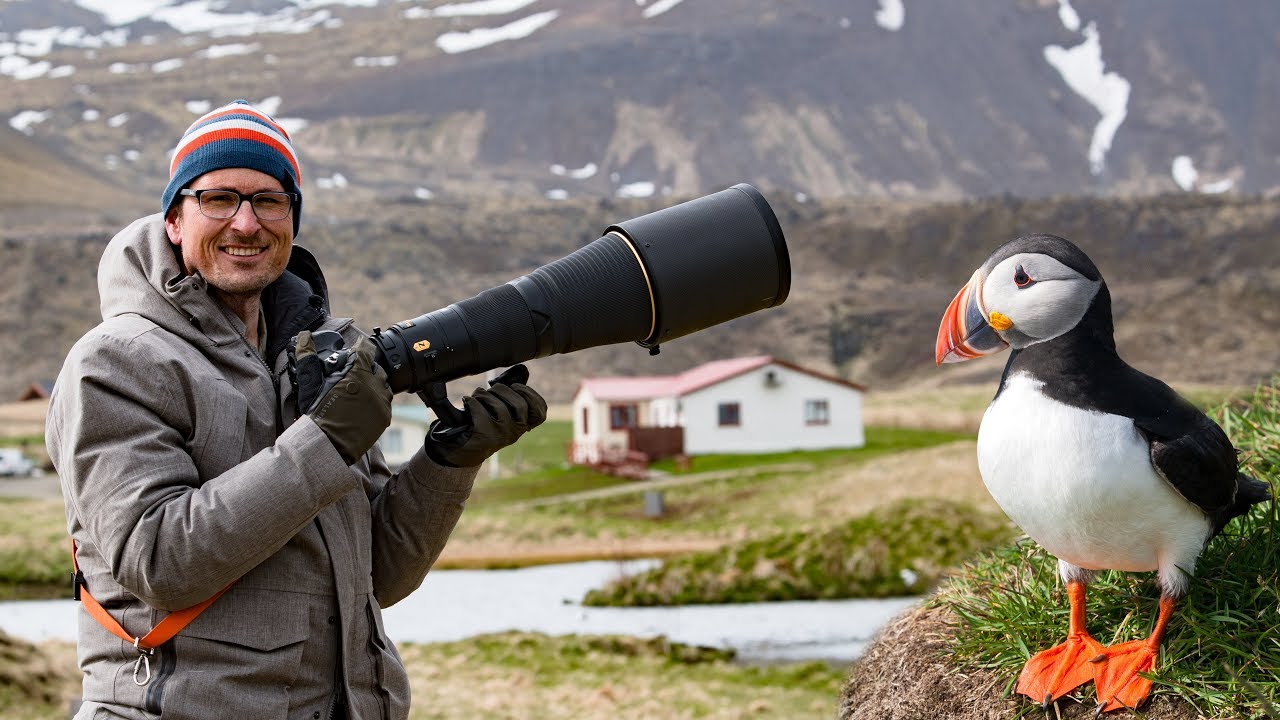 Bird Photography in Iceland 🦅🐦📷 Whats in my Bag