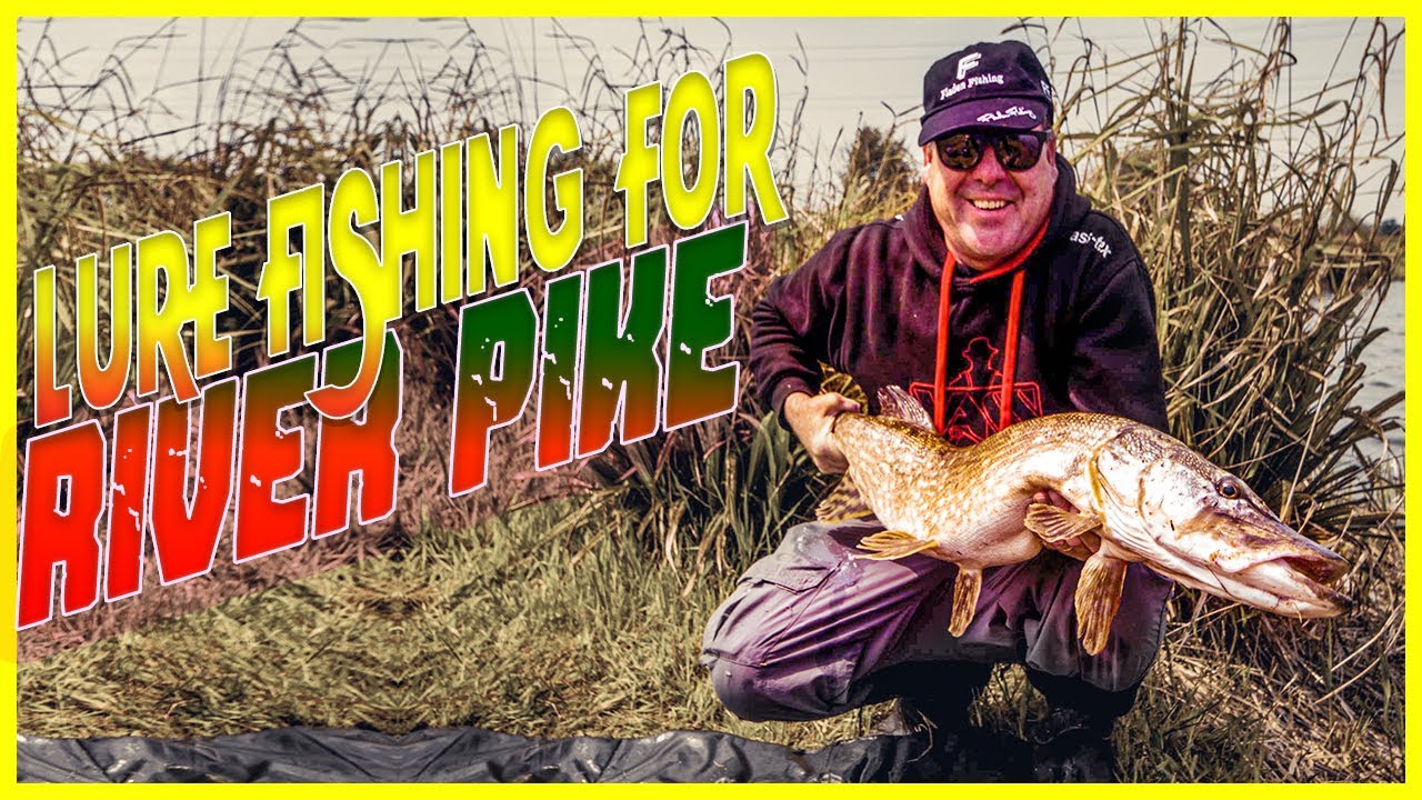 Lure fishing for River Pike