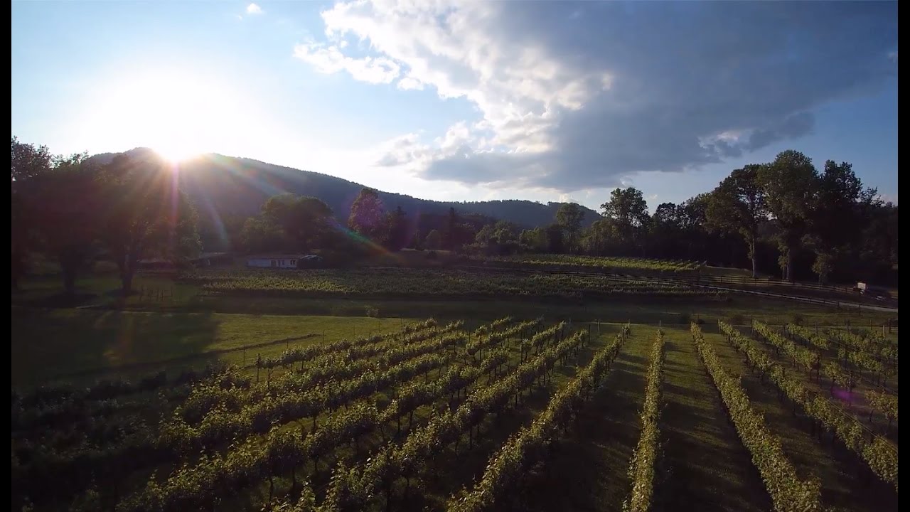 Anglers & Appetites - The Trout & Tastes of Rabun County, GA - Part 1 (Episode 308)
