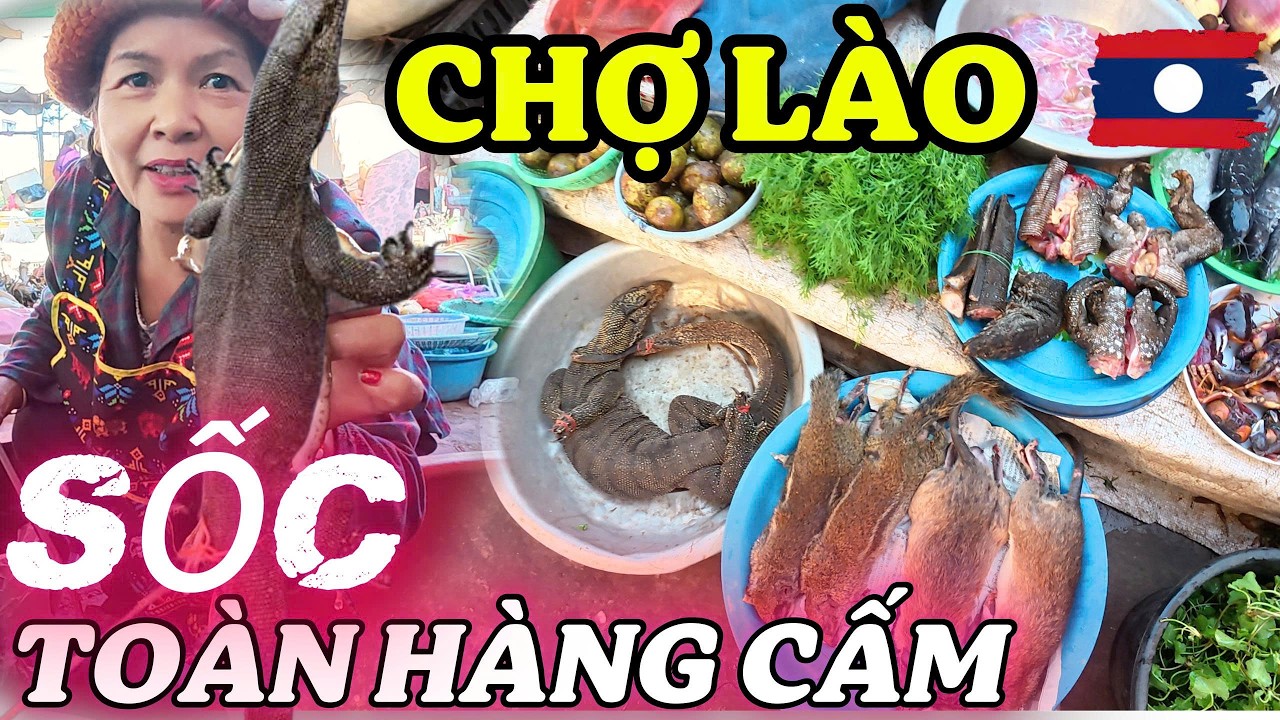Sốc Với Chợ L&agrave;o &ndash; To&agrave;n H&agrave;ng &ldquo;Cấm&rdquo; Ở Savannakhet?!